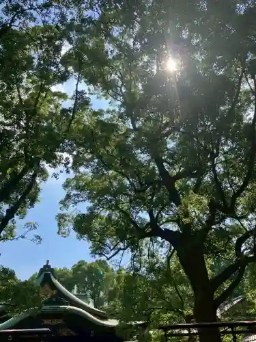 王子神社(東京都)