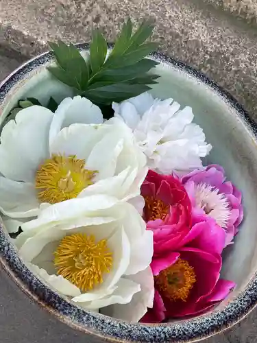 上野東照宮(東京都)