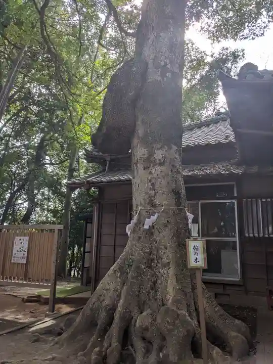氷川女體神社の自然