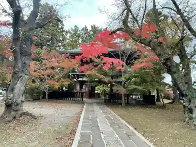 東漸寺(千葉県)