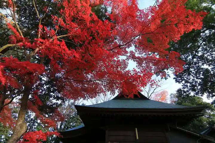 國祖神社の本殿・本堂
