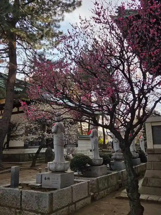 長命寺(東京都)