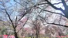 平野神社の庭園