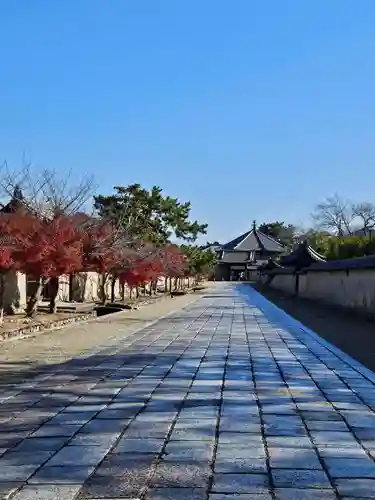 法隆寺(奈良県)
