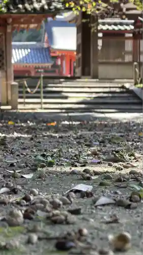 石清水八幡宮(京都府)