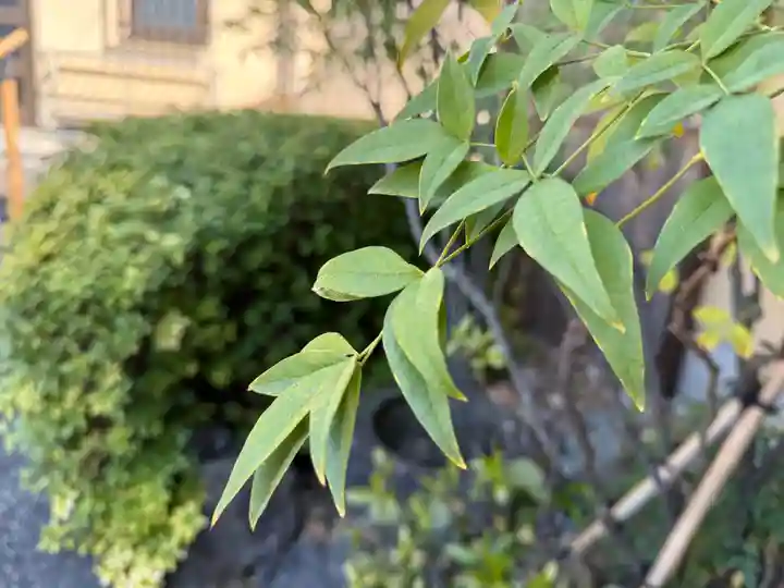 西方山極楽寺(岐阜県)