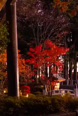 諏訪大社下社秋宮(長野県)