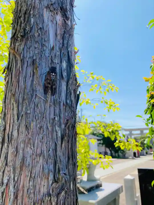 總社 和田八幡宮の景色