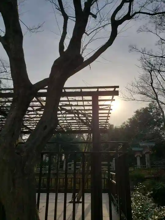 東郷神社(東京都)