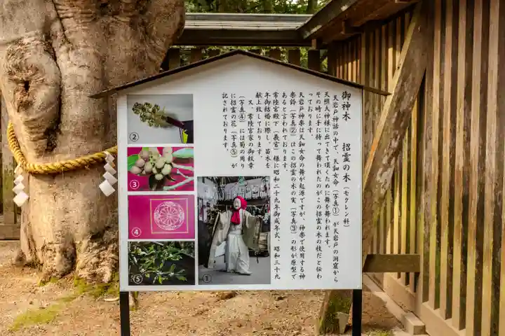 天岩戸神社(宮崎県)