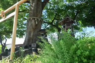 山神宮(埼玉県)