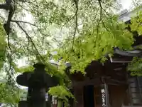 西善寺の自然