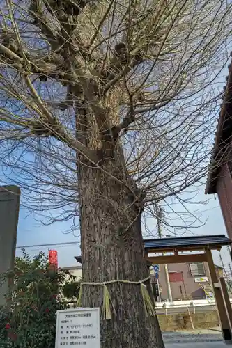 求浄庵(岐阜県)