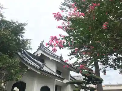 長松寺の山門・神門