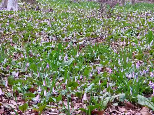 三毳不動尊(栃木県)