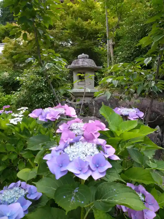 柳谷観音 楊谷寺(京都府)