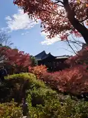 東福禅寺（東福寺）(京都府)