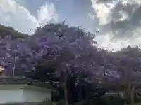 神光寺(徳島県)