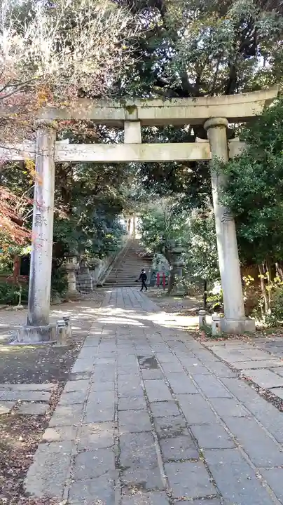 赤坂氷川神社の鳥居
