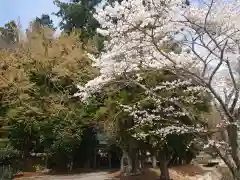 八剱神社の自然