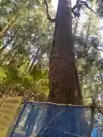 蒼前神社(岩手県)