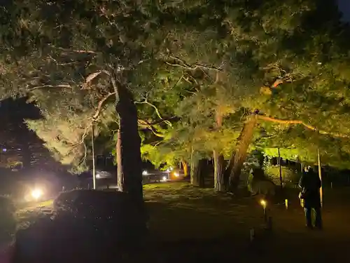 平安神宮の自然