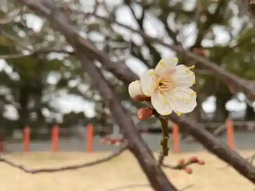 美奈宜神社(福岡県)