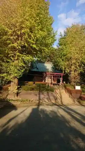 上和田信法寺別院薬王院の自然