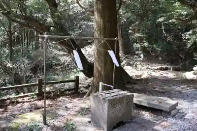 瀧神社（都農神社末社（奥宮））(宮崎県)