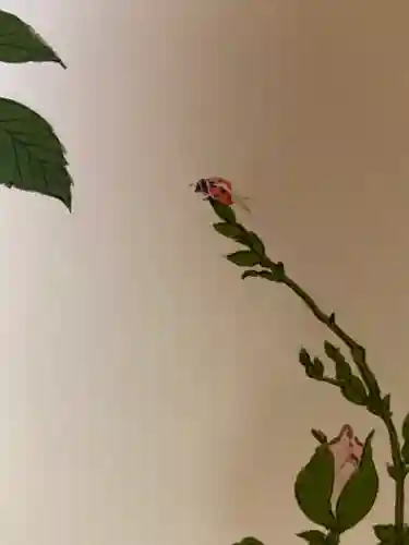 大雄院(京都府)