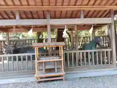 出雲大社(島根県)