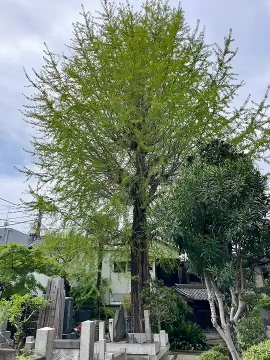 南泉寺(東京都)