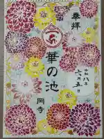 岡寺(龍蓋寺)(奈良県)