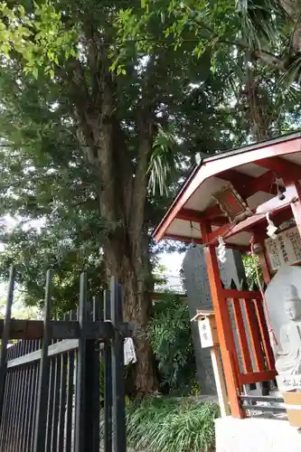 松山神社の自然