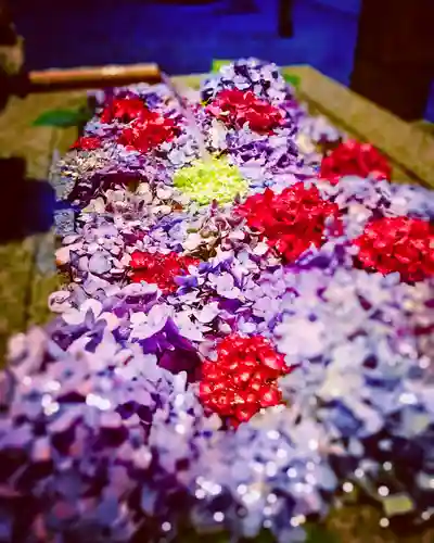 滑川神社 - 仕事と子どもの守り神の手水舎