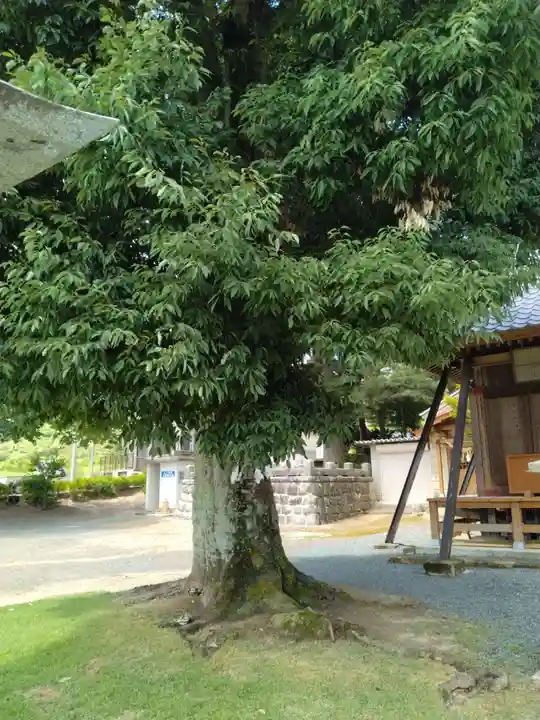 益子神社(福島県)
