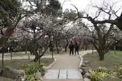 北野天満宮の庭園