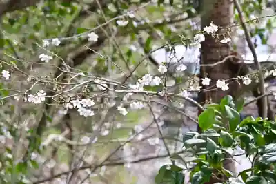 旦飯野神社(新潟県)