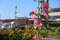 熊野福藏神社の自然