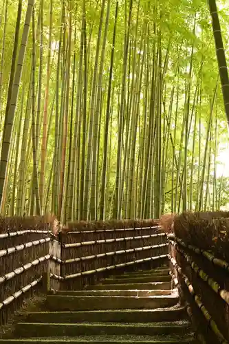化野念仏寺(京都府)