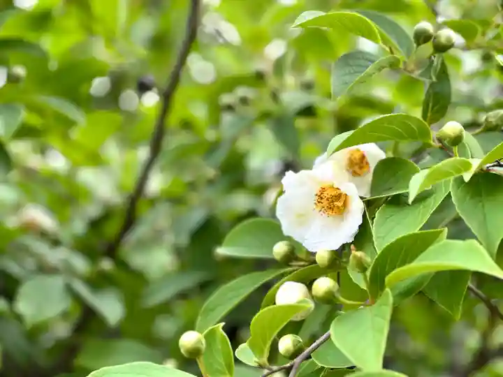 中禅寺(長野県)