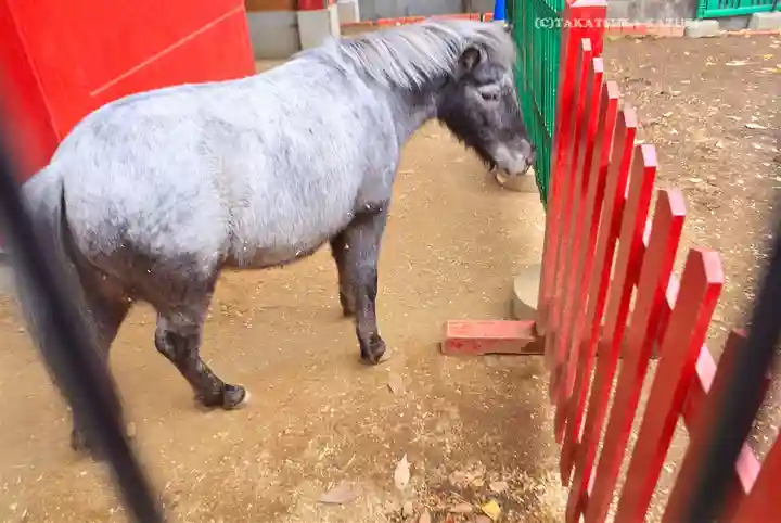 神田神社(神田明神)(東京都)