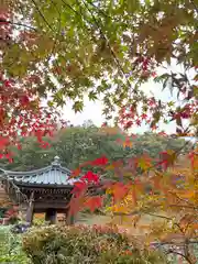 陽林寺(福島県)