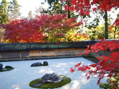 龍安寺の庭園