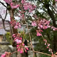 豊景神社(福島県)