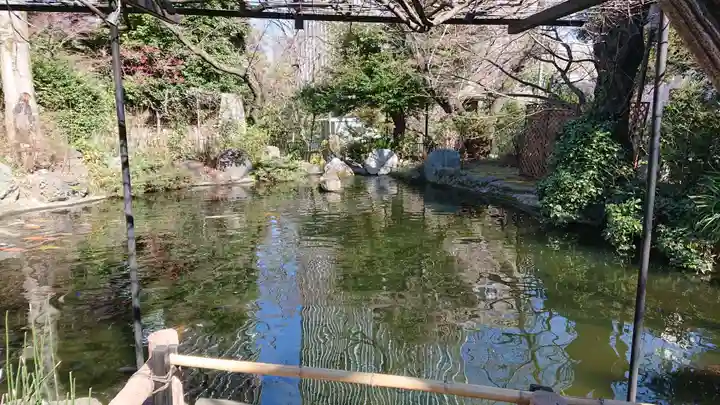 愛宕神社の庭園