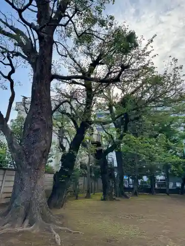 北野八幡神社の{uncategorized: "未分類", other: "その他", undefined: "問題あり", building: "その他建物", grave: "お墓", sacred_gate: "鳥居", guardian: "狛犬", statue: "像", buddha: "仏像", history: "歴史", nature: "自然", garden: "庭園", animal: "動物", pagoda: "塔", temizu: "手水舎", mountain_gate: "山門・神門", sanctuary: "本殿・本堂", subordinate: "末社・摂社", art: "芸術", scenery: "景色", jizo: "地蔵", ema: "絵馬", goshuin: "御朱印", omikuji: "おみくじ", items: "授与品その他", amulet: "お守り", goshuincho: "御朱印帳", eats: "食事", festival: "お祭り", votive_dance: "神楽", shichigosan: "七五三参", wedding: "結婚式", experience: "体験その他", initially: "初詣", around: "周辺", anti_infection: "感染症対策"}