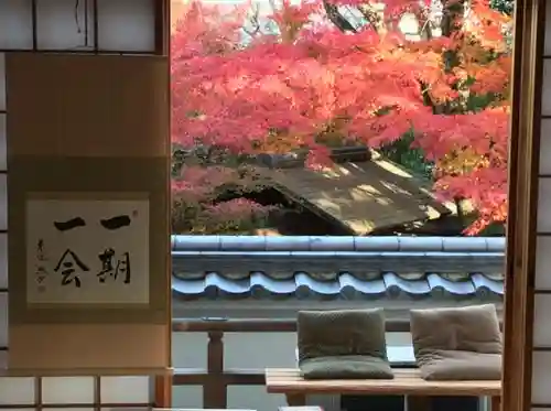 来迎寺(井戸来迎寺・紫雲山来迎寺)のその他建物