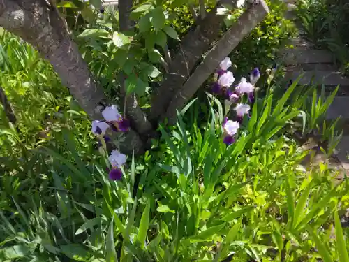 向福寺(神奈川県)