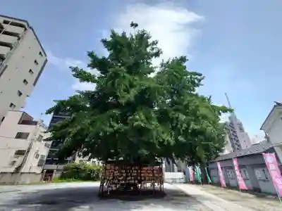 今戸神社(東京都)